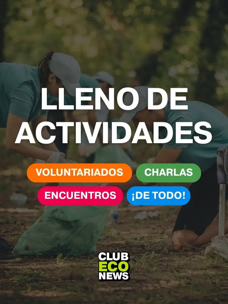 3-Portada-Club-EcoNews---Mobile---Actividades-HQ