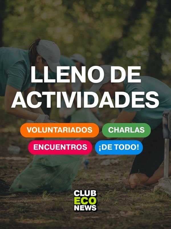 3 Portada Club EcoNews - Mobile - Actividades
